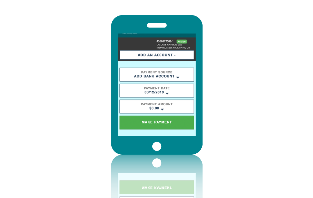 online account services payment center