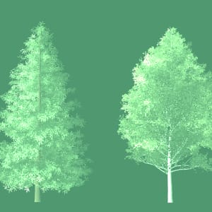Cascade Natural Gas Environmental Partners
